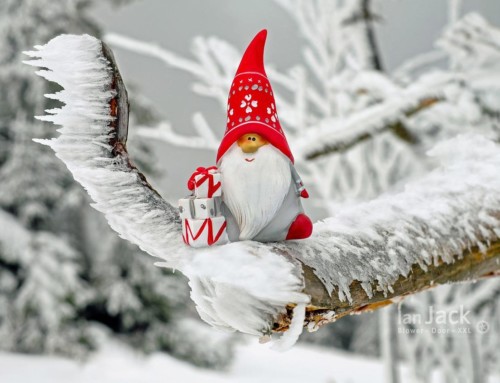 Weihnachtsgrüße